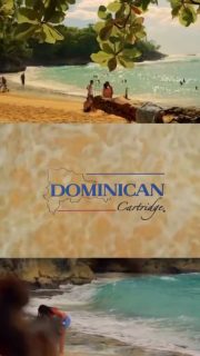 .
Dominican CARTRIDGE
Caja 10 unidades | RD$695

Dominican Cartridge es un tributo a la rica tradición y el talento de los artistas del tatuaje dominicano. Diseñado para combinar la excelencia artística con la innovación tecnológica, este cartucho ofrece calidad y funcionalidad superiores. 
•
Ordena ya!!! 
WWW.JCGOLDENSUPPLY.COM 
También por WhatsApp 809-258-6325 
•
Tienda física 🏛️ 
Estamos en la avenida Mella N. 302 , esquina 19 de Marzo , al lado de la Sirena proximo a la zona colonial.  SANTO DOMINGO R.D 🇩🇴 

 #jcgoldensupply #cartuchosdetatuaje #materialesparatatuar